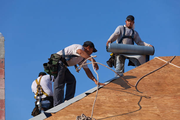Best Roof Leak Repair  in Franklin Park, NJ