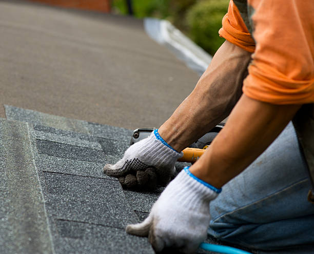 Best New Roof Installation  in Franklin Park, NJ