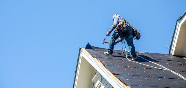 Best Roof Waterproofing Services  in Franklin Park, NJ